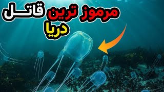 مرموزترین قاتل دریا میدونید چه موجودی هست؟