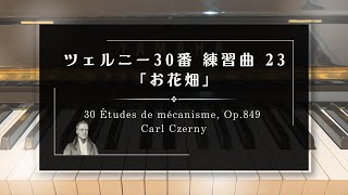 ツェルニー30番 練習曲 23「お花畑」/ 30-23  Études de mécanisme, Op.849 Carl Czerny #練習 #初心者 exercises ピアノ演奏