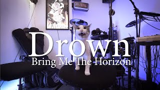 Bring Me The Horizon「Drown ～Meow～」Cover By Ducktones