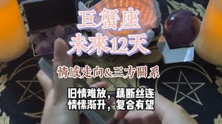 巨蟹座 未来12天情感走向\u0026三方关系：旧情难放，藕断丝连