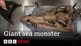 Colossal sea monster unearthed in UK - BBC News