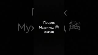 Пророк Мухаммад ﷺ сказал | #quran  #Islam #религия