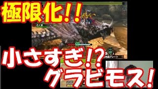 [モンハン４Ｇ実況]小さすぎっ!?イベントクエスト!!極限化グラビモスに操虫棍で挑む!!