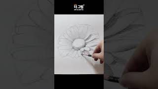 꽃 연필드로잉 pencil drawing
