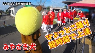 【みやざき犬】ひょっとこ踊りを ひぃくんが短時間でマスター！これが みやざき犬！ (201809宮崎県都城市)