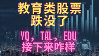 教育类股票跌没了。。。TAL，EDU，YQ这个跌幅触目惊心，不过我们早就说过了，不和政府对着干，尤其中国政府。