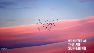 Altered Migration Patterns | The effects of climate change on wildlife and ecosystems