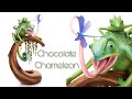 Chocolate Chameleon!