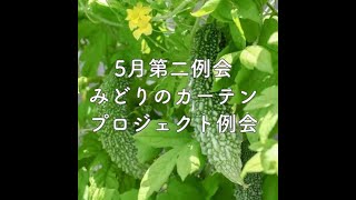 「みどりのカーテンプロジェクト」ゴーヤの植え付け方