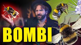 Sei un BOMBO e non lo sai!