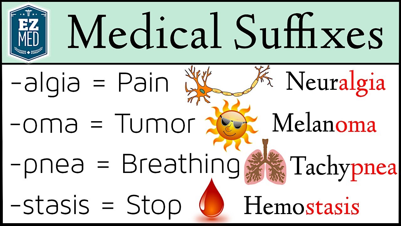 Medical Terminology: Suffixes MADE EASY [Nursing, Students, Coding ...