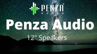 Penza 12 inches speakers