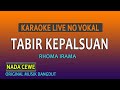 TABIR KEPALSUAN  RHOMA IRAMA - KARAOKE NADA CEWE