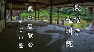 【京都Kyoto】話題のアート畳が人気 東福寺 光明院「鶴の展覧会」　【そうだ京都行こう】