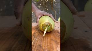 Coconut cutting #coconut #cuttingskills #satisfying #youtubeshorts #shorts