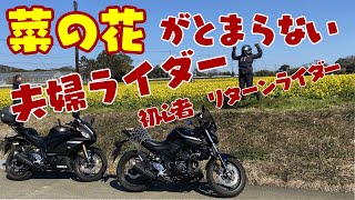 【YZF-R25ｘMT-25】菜の花がとまらない　夫婦ツーリング#02【モトブログ】