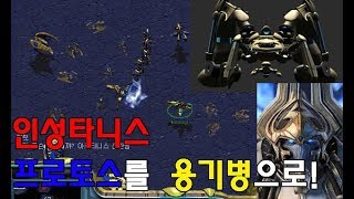 스타크래프트1 인성타니스가 프로토스들을 용기병으로 만든다.