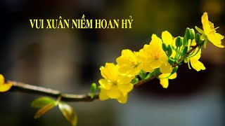 VUI XUÂN NIỀM HOAN HỶ