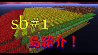 【MineCraft】SkyBlock #1　とりあえず島紹介します（ハイピクセル）（ゆっくり実況）