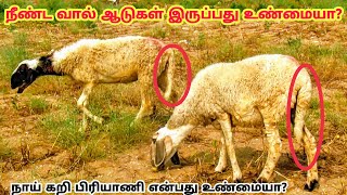 நீண்ட வால் ஆடுகள் இருப்பது உண்மையா? நாய் கறி பிரியாணி என்பது உண்மையா?