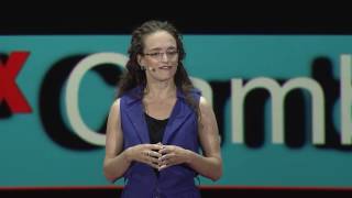Baby Brains: Unlocking Our Humanity | Rebecca Saxe | TEDxCambridge