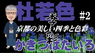 京都の美しい四季と色彩　#2「杜若色」