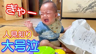 人見知り全開！！なぜひいばあちゃんは号泣しちゃうの！？3歳児男女双子＆生後7ヶ月赤ちゃん