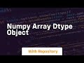 numpy array dtype object