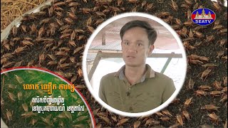 កសិកម្ម និងអភិវឌ្ឍន៍ជនបទ - Agriculture and Rural Development|ការចញ្ចឹមចង្រិត - Crickets [EPS13]