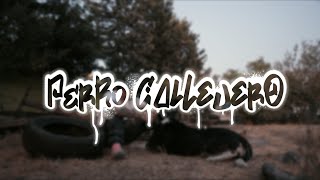 ManuDiez - Perro Callejero (Video Oficial) Prod. Trip Music