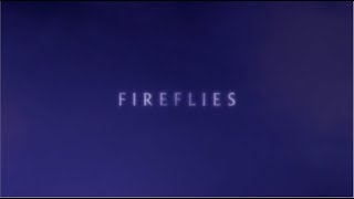 Nick Cave and The Bad Seeds - Fireflies (Official Lyric Video)