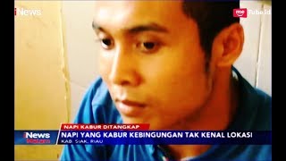 3 Napi Rutan Siak yang Kabur Ditangkap, Bertahan Hidup dengan Minum Air Parit - iNews Malam 12/05