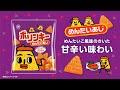 商品 サービス紹介の動画の（法人取引向け）制作事例_ 株式会社湖池屋様【video brain制作】