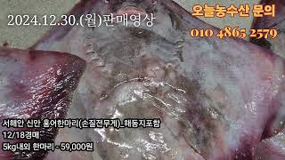 24.12.30.(월) 한 해 고생 많으셨어요!! 반건조 생선 홍어 판매영상 #목포 #낚시 #생선 #fish