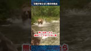 9割が知らないクマの対処法