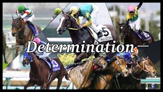 【競馬MAD】Determination〜麗しき逃亡者たち〜