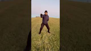 南少林五袓天空拳 Kung Fu Southern Shaolin Style Five Ancestor Fist Heaven \u0026 Earth routine exercise - 018