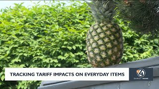 Tracking tariff impacts on everyday items