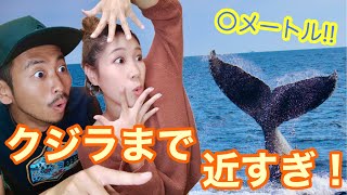 【沖縄観光】冬の沖縄でホエールウォッチング！地球最大の種族クジラに迫る！【移住カップルVlog】