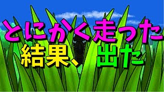 [ポケットモンスターＸＹ]（色違い）とにかく走った、そしたら出た！（フレンドサファリpart132）