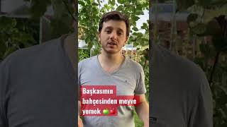 Başkasının Bahçesinden İzinsiz Meyve Yemek🍏🍎 #hukuk