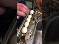 Quail Egg Peeler