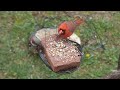 a cardinal gets nasty with sparrows