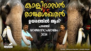 Chirakkal Kalidasan Vs Cherpulassery Rajasekharan | Pazhanji Perunnal 2024 | Kerala Elephants