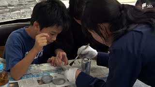 「指紋が浮かび上がってくるところが面白い」小学生が警察官の仕事体験　鑑識作業などに挑戦＝静岡・下田警察署