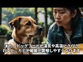 【犬雑学】これだけはするな⚠️ 犬の寿命を縮めるご飯の与え方5選