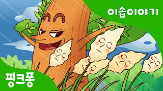 갈대와 올리브 나무 | 이솝이야기 | 핑크퐁! 인기동화