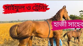 সাইফুল ও টেনিং হাজী সাহেব নতুন ও পুরানো ঘোড়া মাছপুকুর গ্রাম অঞ্চলের মাঠে #সাইফুলভাই #হাজীসাহেব