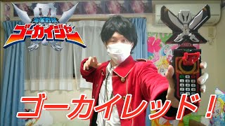 「変身動画」ゴーカイレッドに変身してみた。