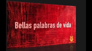 143 - Bellas palabras de vida (Pista/Letra Himnario Bautista)